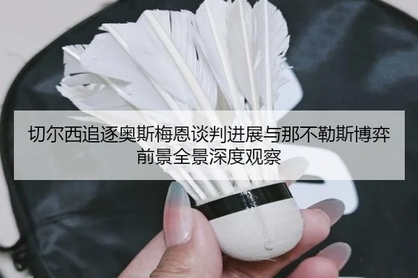 切尔西追逐奥斯梅恩谈判进展与那不勒斯博弈前景全景深度观察